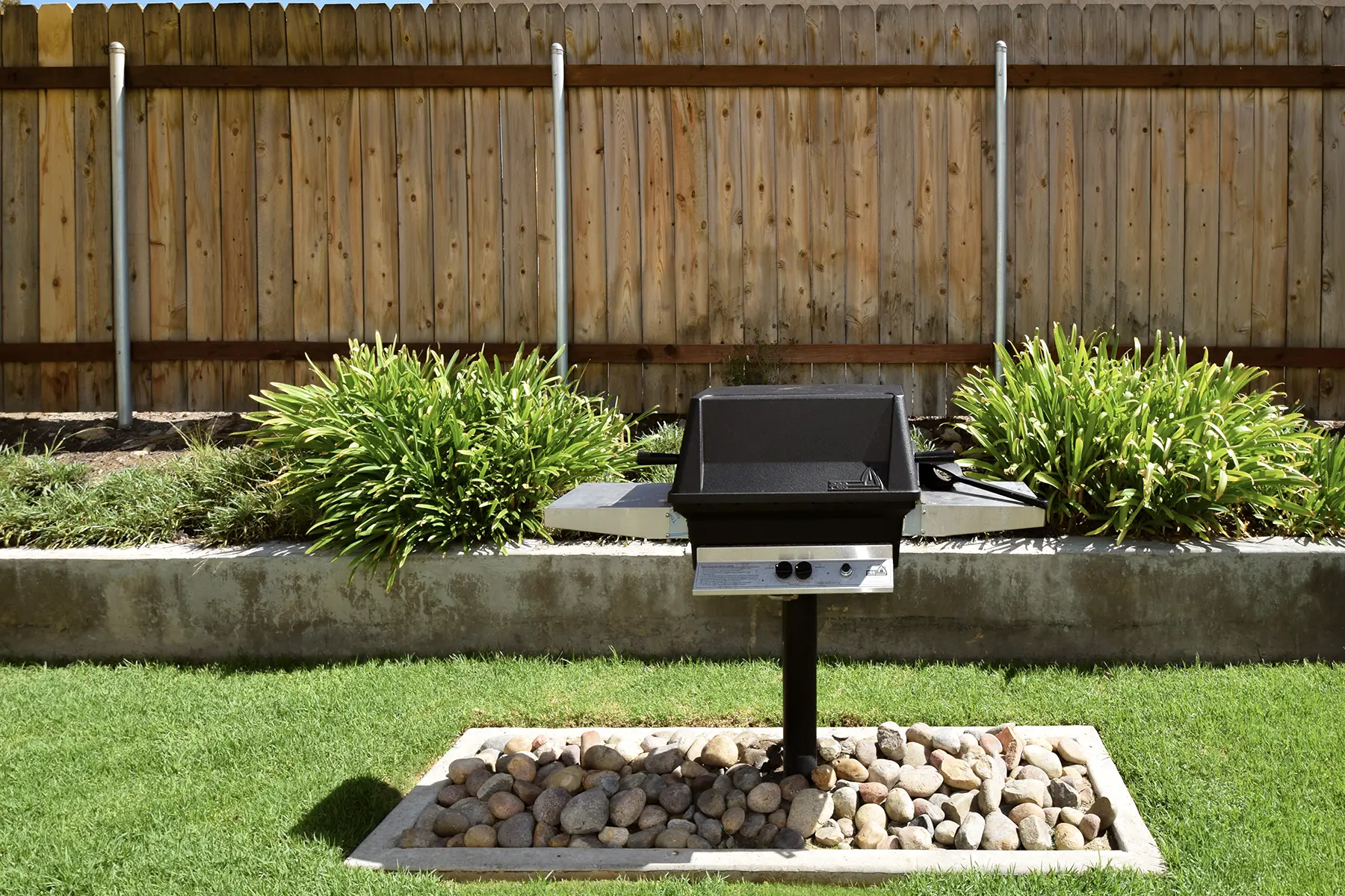 BBQ new_DSC_0140